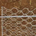 Galvanized Gabion Hot-dipped Galvanized Gabion Basket Sizes Rock Gabion Basket Manufactory